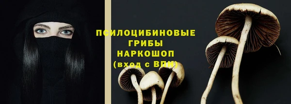 сатива Алексин