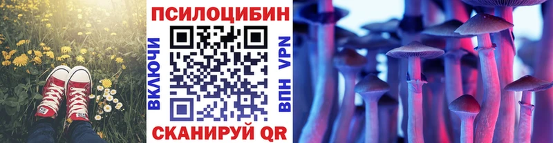 Псилоцибиновые грибы Cubensis  KRAKEN как зайти  Устюжна 