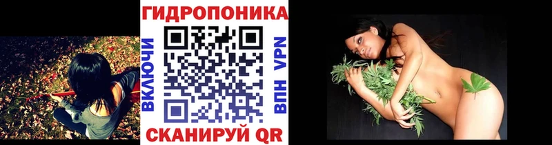 хочу   mega tor  Конопля тримм  Устюжна 